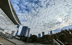 上海市政府常务会议：推动中试平台创新发展