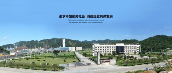 重庆建峰化工股份有限公司二氧化碳甲烷干重整中试技术开发项目